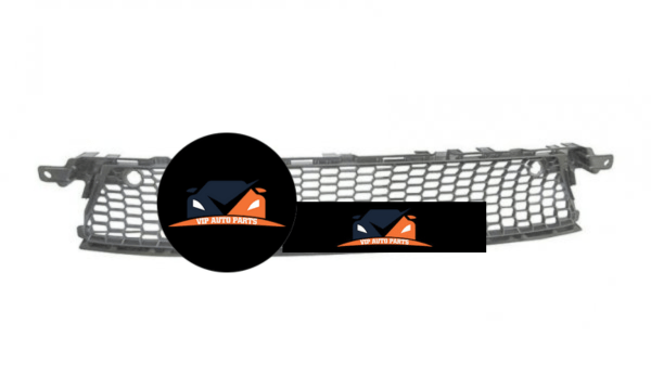 LEXUS-IS300H-FRONT BAR GRILLE