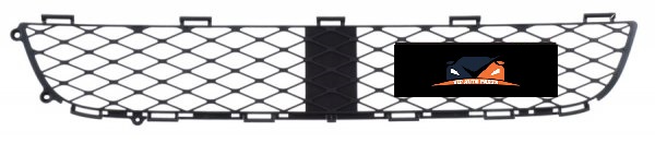 TOYOTA-ECHO-GRILLE